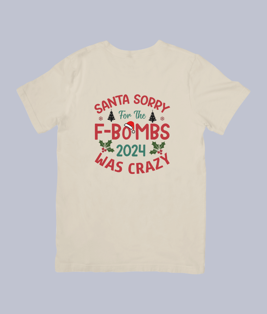 Santa, Sorry for the F-Bombs – 2024 Was Crazy Funny Christmas Tee - Unisex T-Shirt