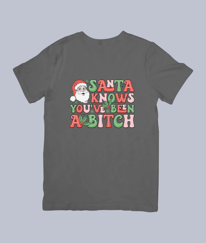 "Santa Knows You've Been Naughty" Funny Christmas Tee - Unisex T-Shirt